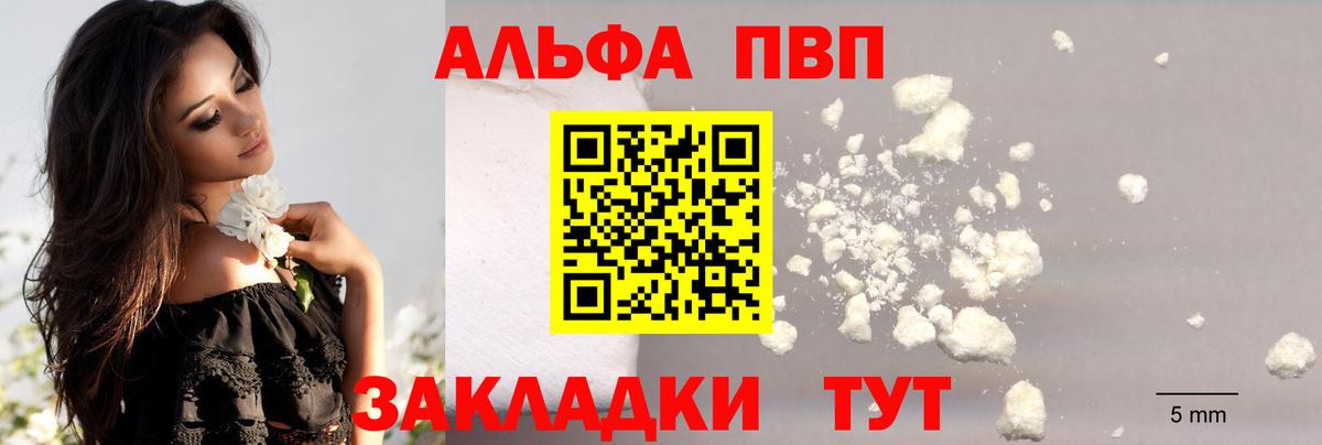 Альфа ПВП СК  Вход с VPN  A-PVP СК КРИС  Можга  A PVP крисы CK 