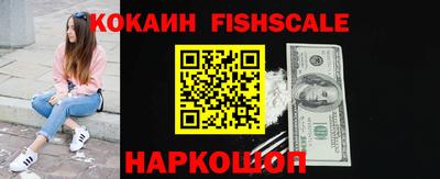 гашик Гусь-Хрустальный