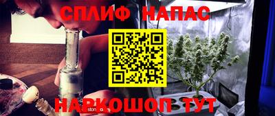 гашик Гусь-Хрустальный