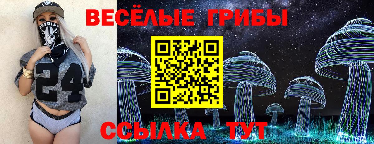 Можга  Псилоцибиновые грибы Psilocybe  Вход с VPN 